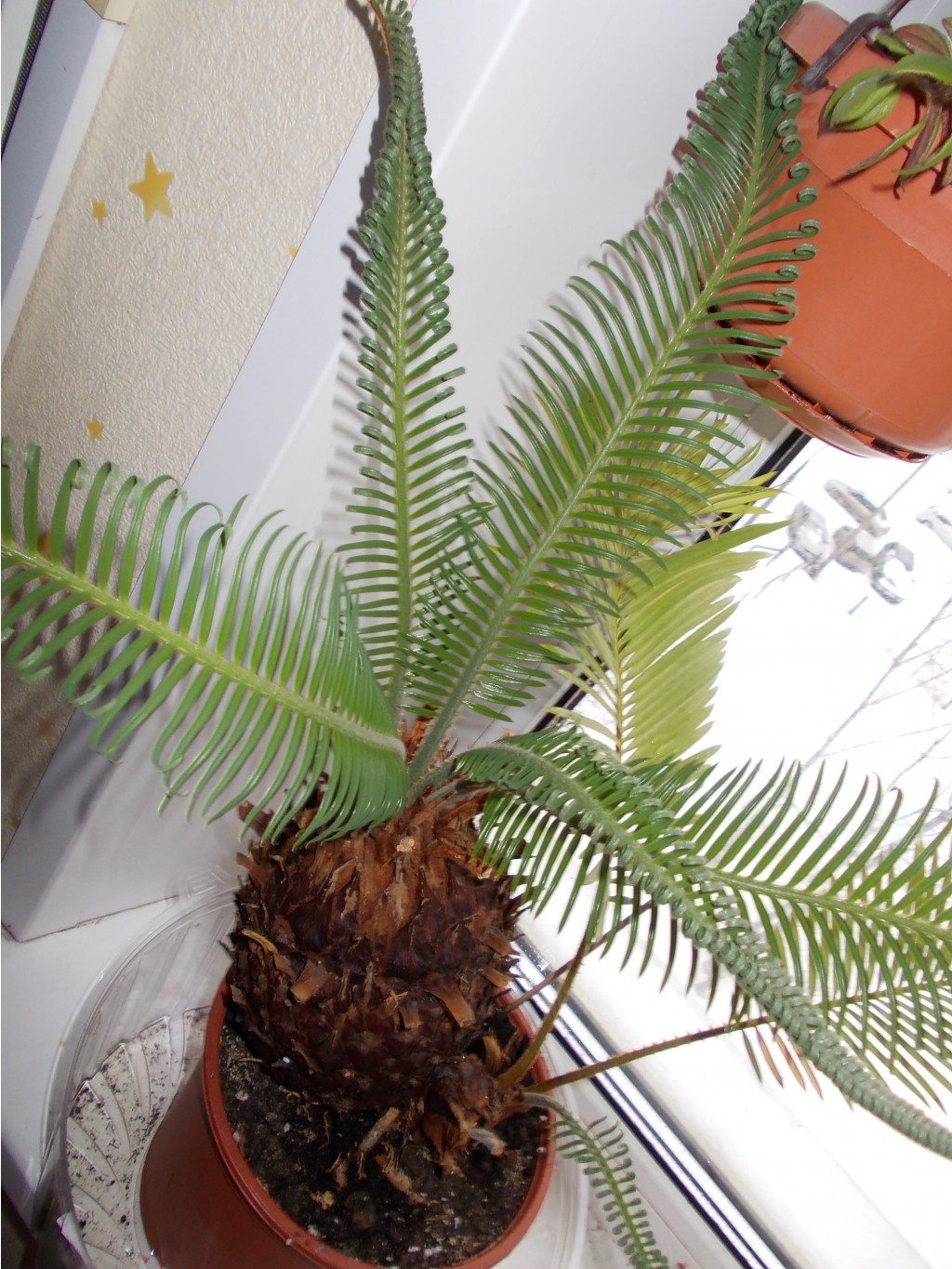 DSCN1506.JPG