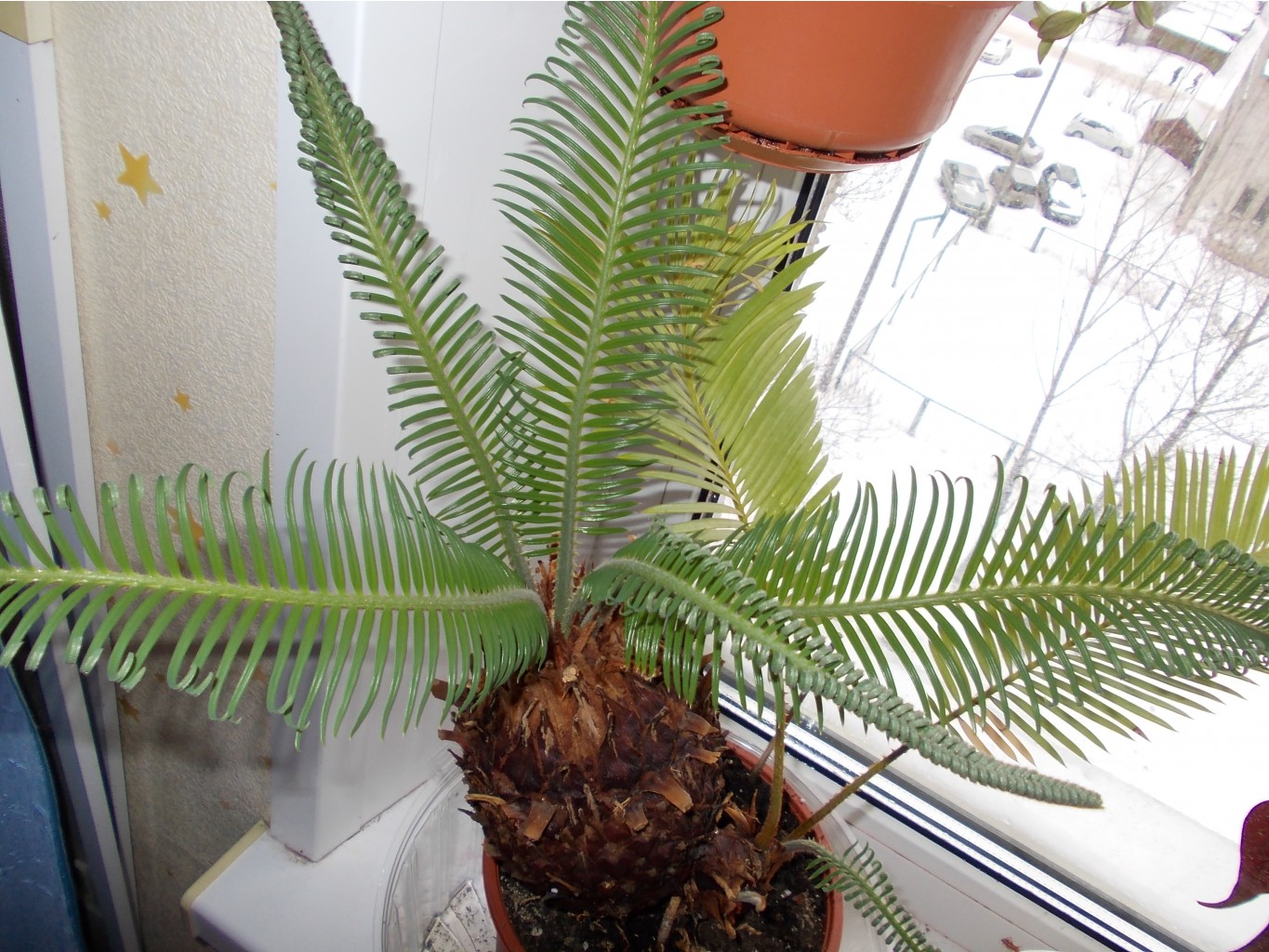 DSCN1507.JPG