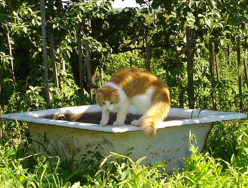 DSC01613.JPG
