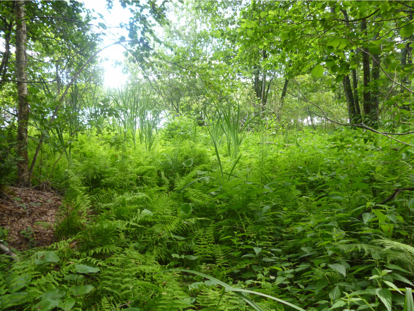 P1010359.JPG