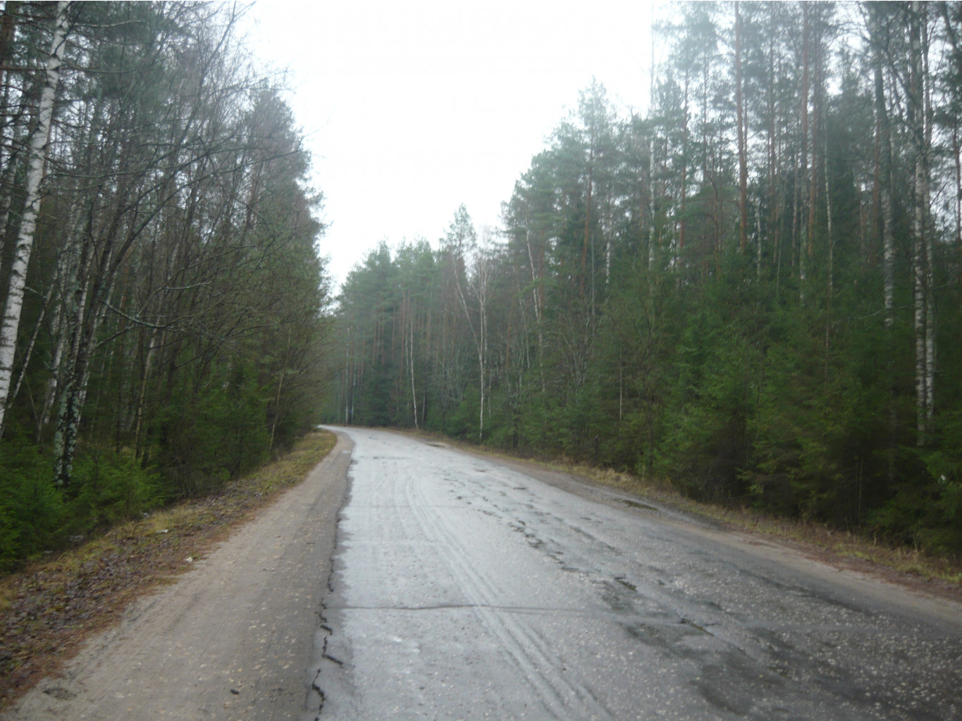 P1250392.JPG