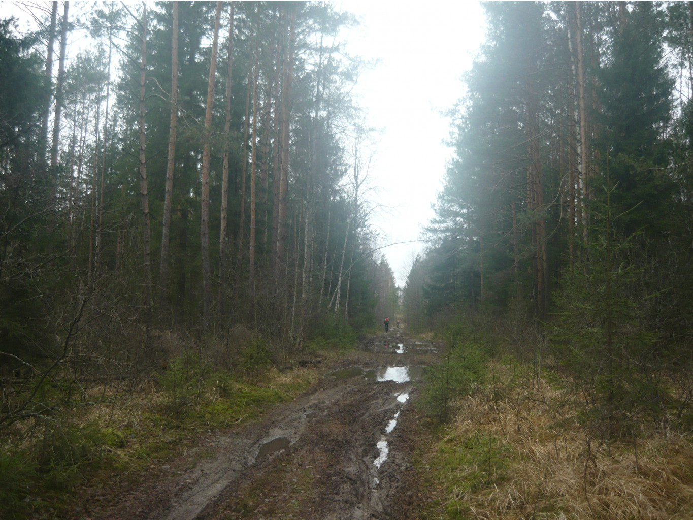 P1250422.JPG