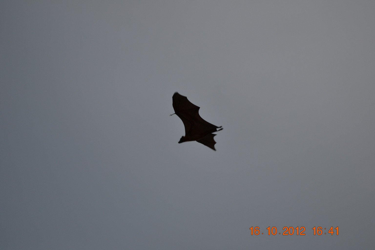 DSC_0746.JPG