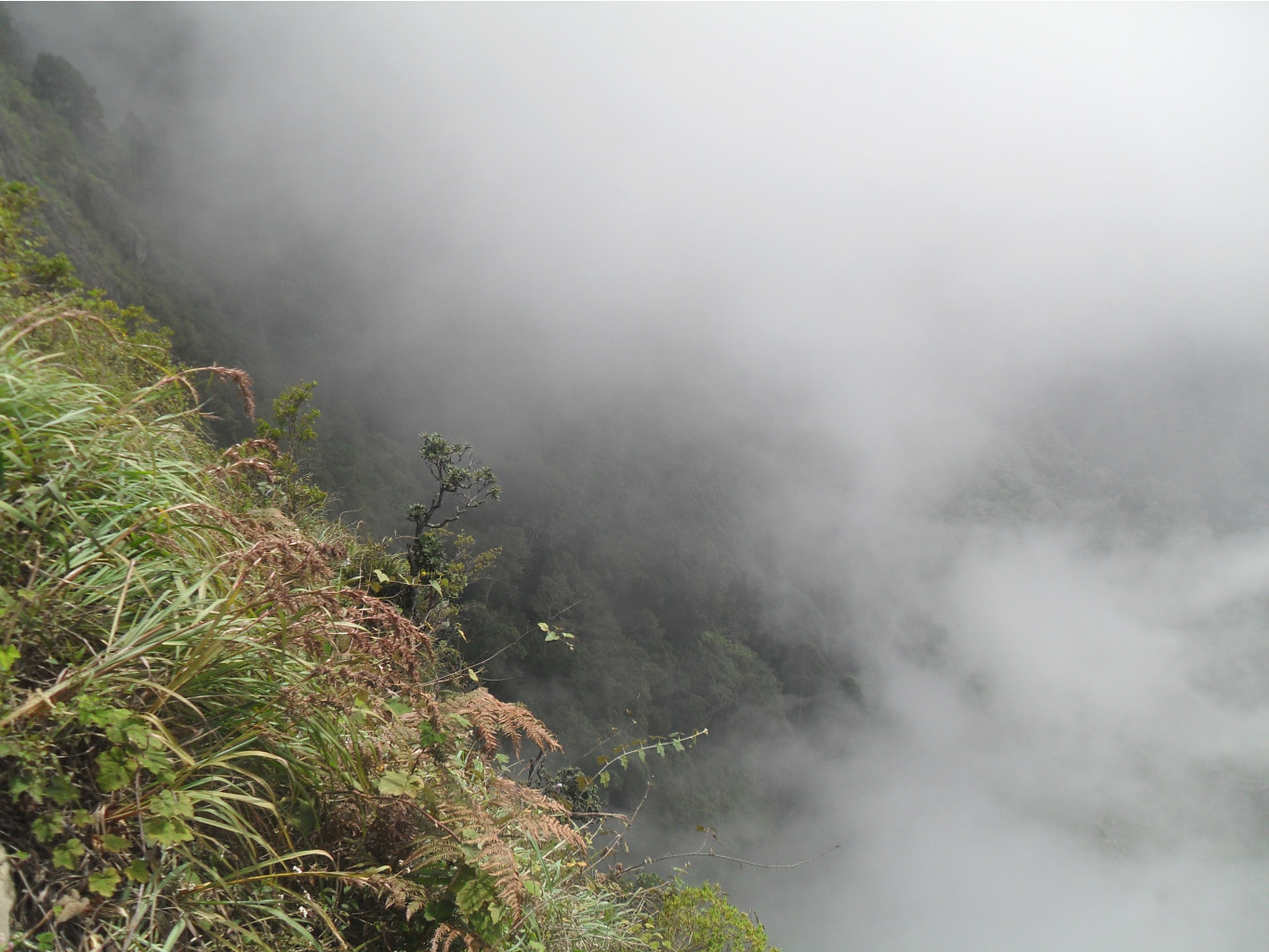 SDC12359.JPG