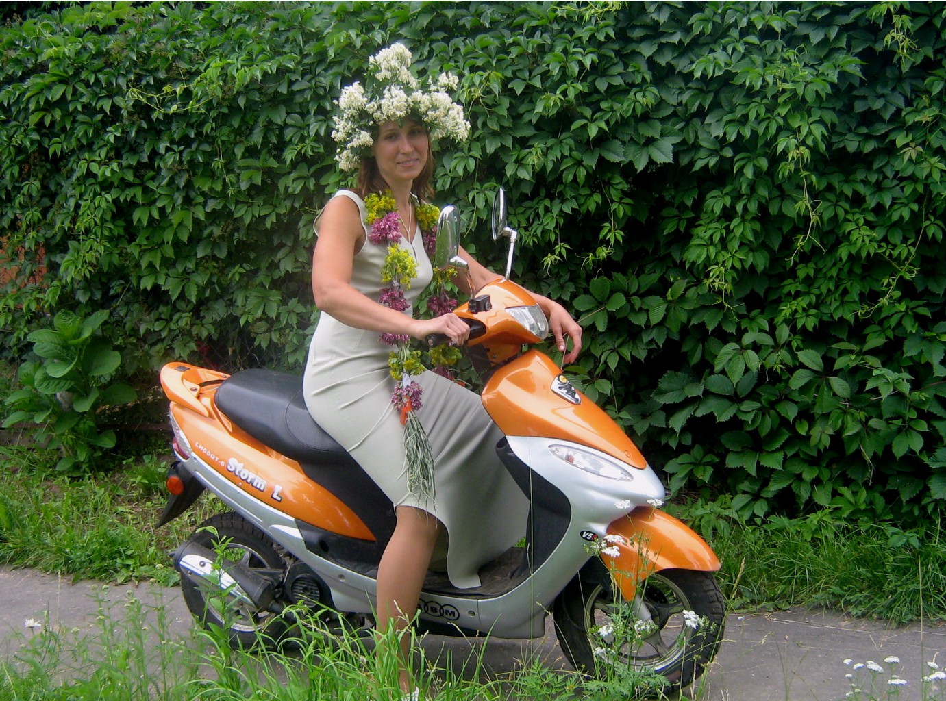 выс 5.jpg