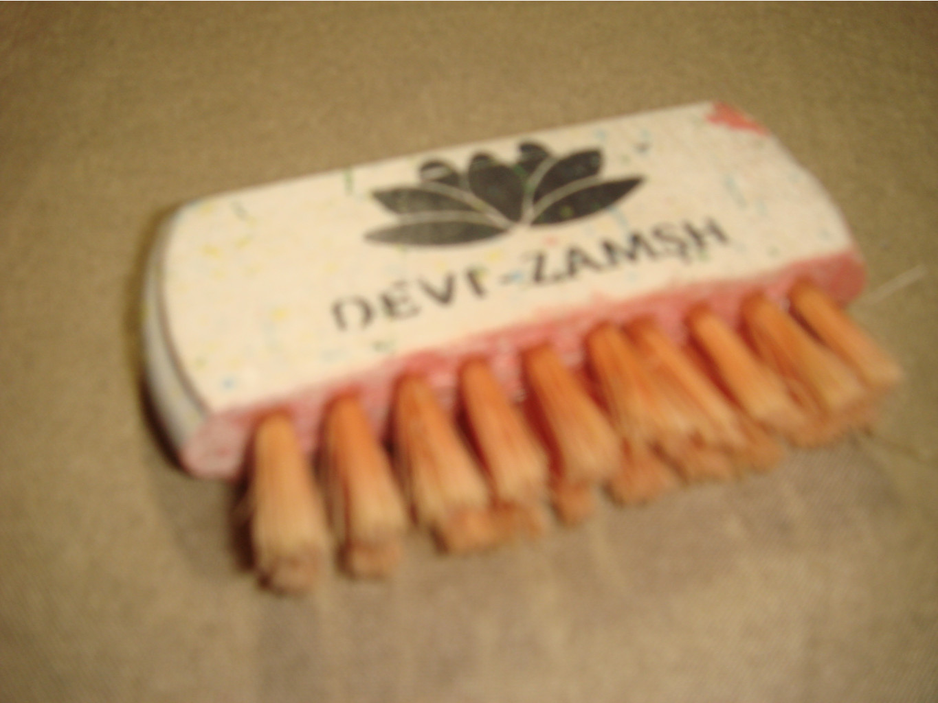 DSC08125.JPG