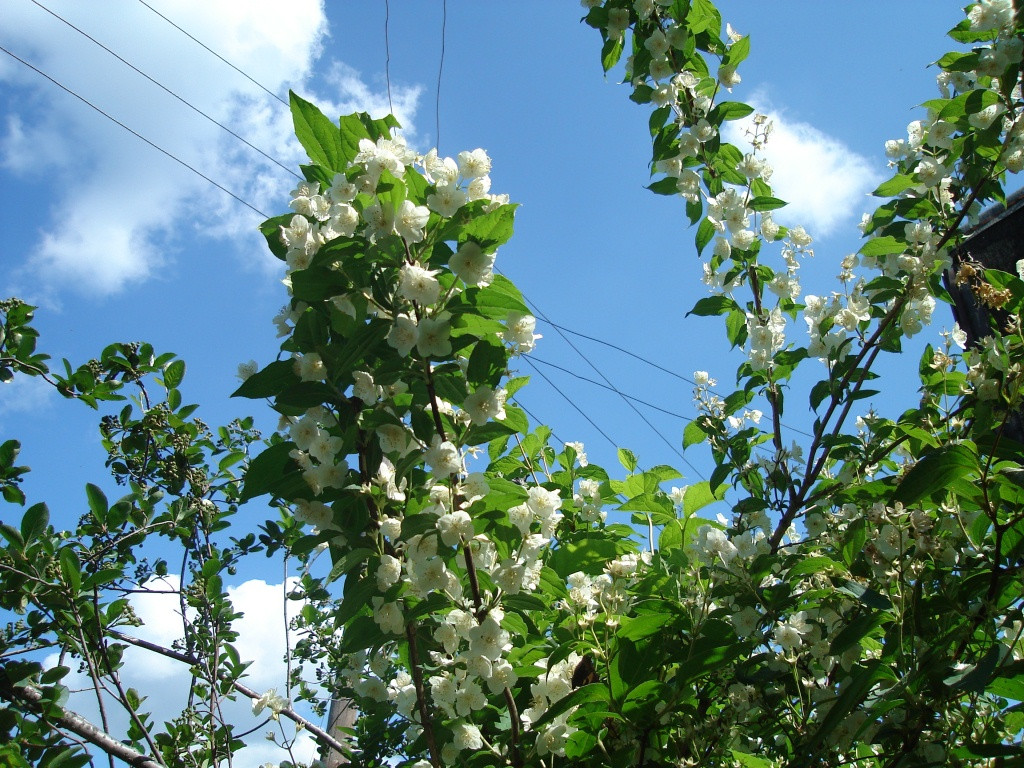 DSC06573.JPG