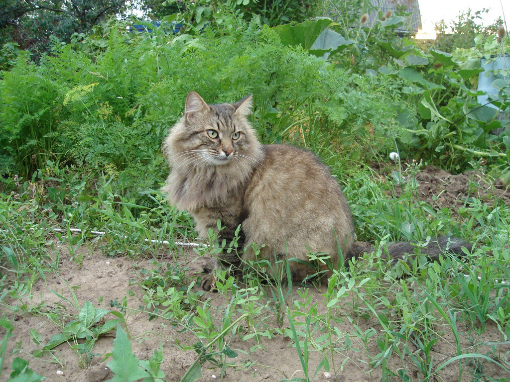 DSC07608.JPG