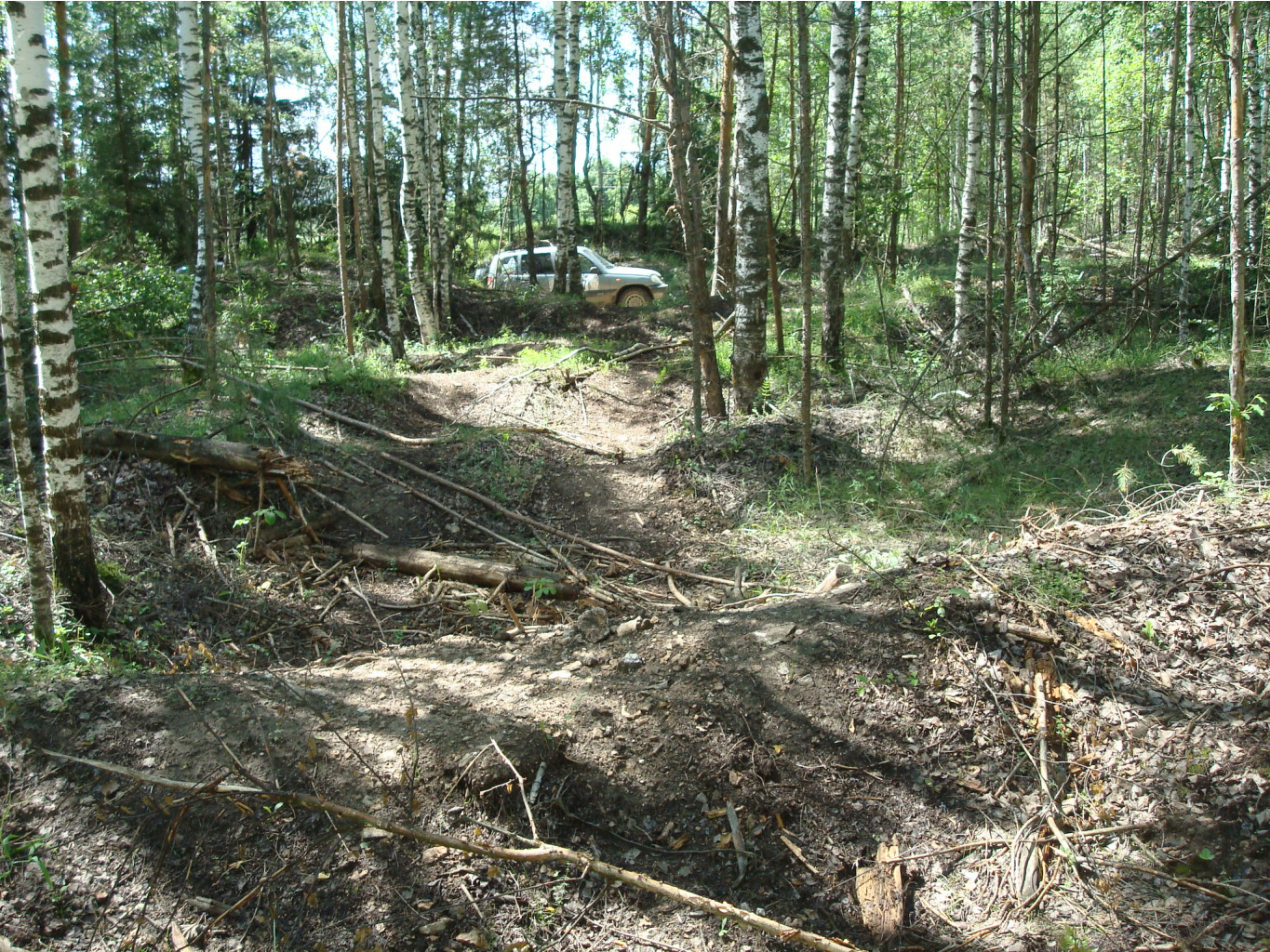 DSC08814.JPG