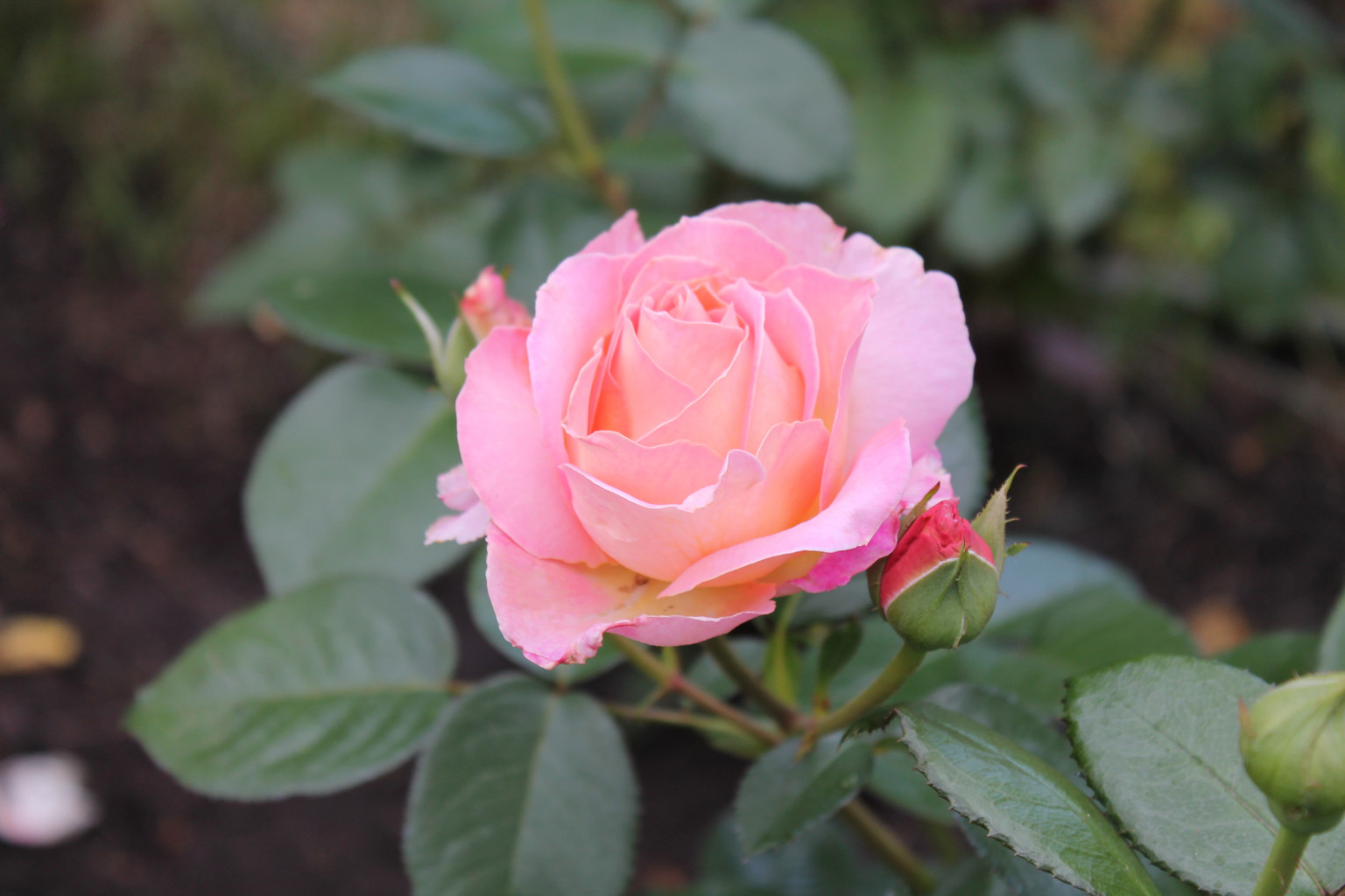 2012_07_06_0059.JPG