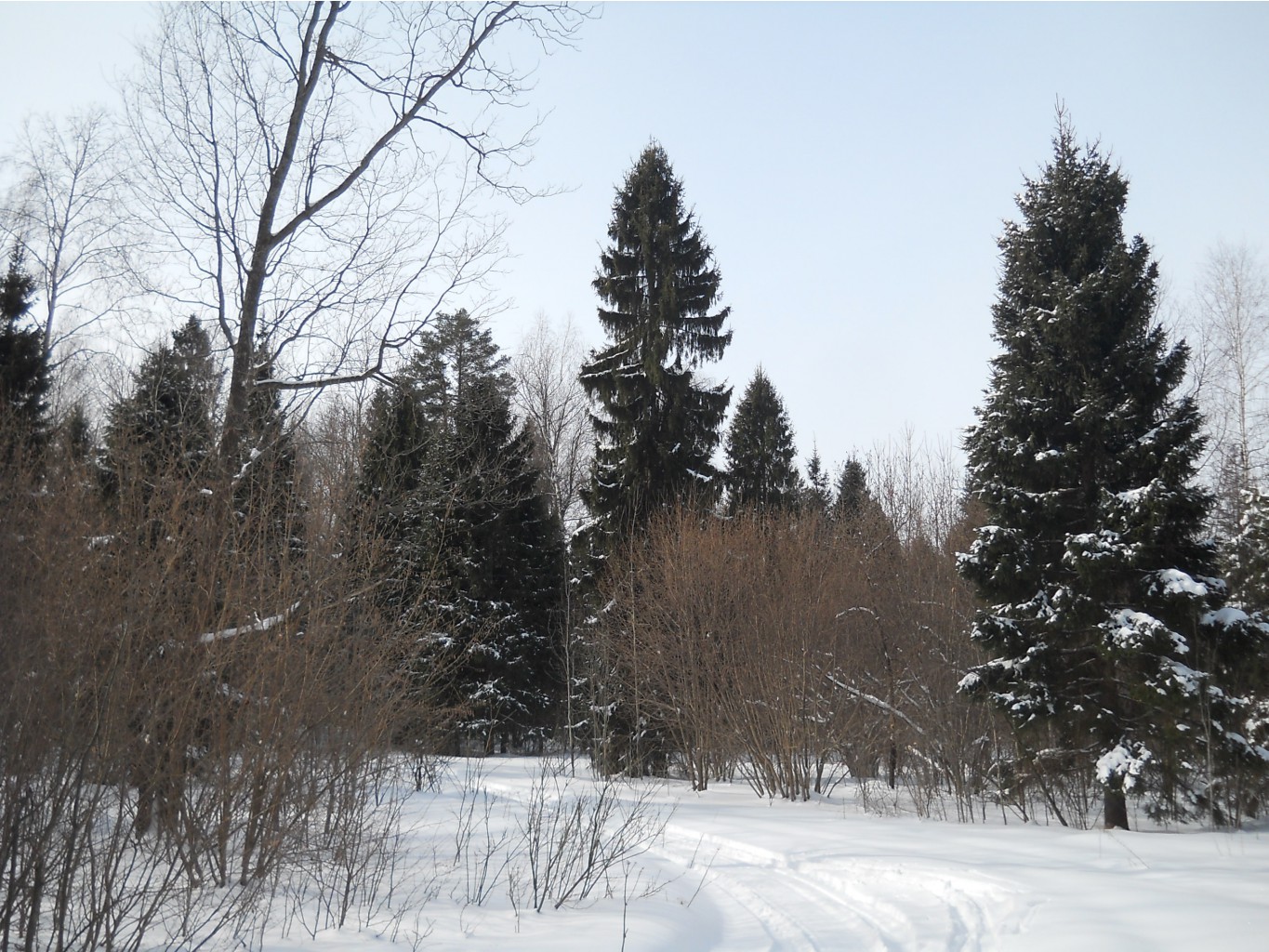 DSCN3132.JPG