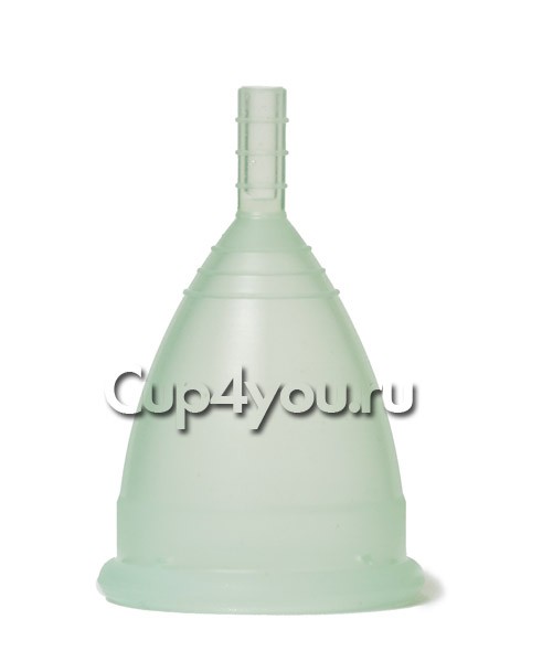 CupLee L   ().jpg 5-10 . - 780 .,  10 . - 700 .