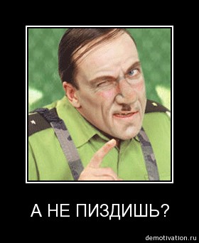 6u20qhv01uc1.jpg