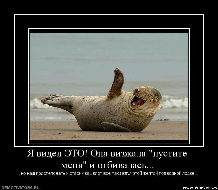 80.jpg
