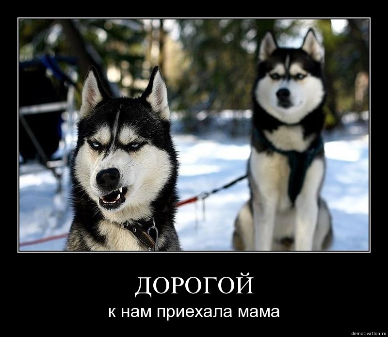 1244550067_9j8g64wkwil3.jpg