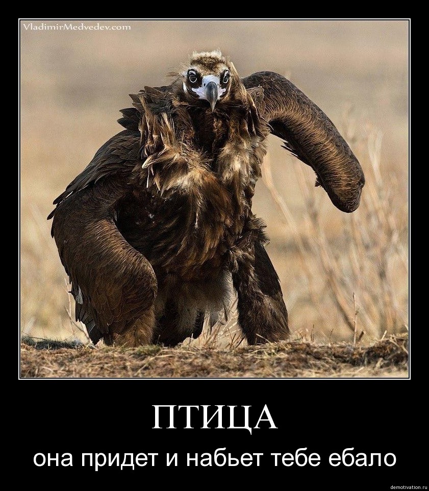 c4zbvky4gu59.jpg