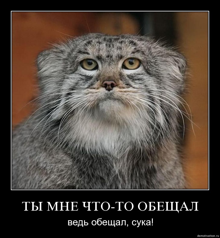 i8ubbxhviu0h.jpg