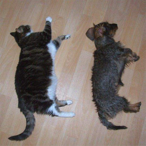 22.01.2010 14:37:27