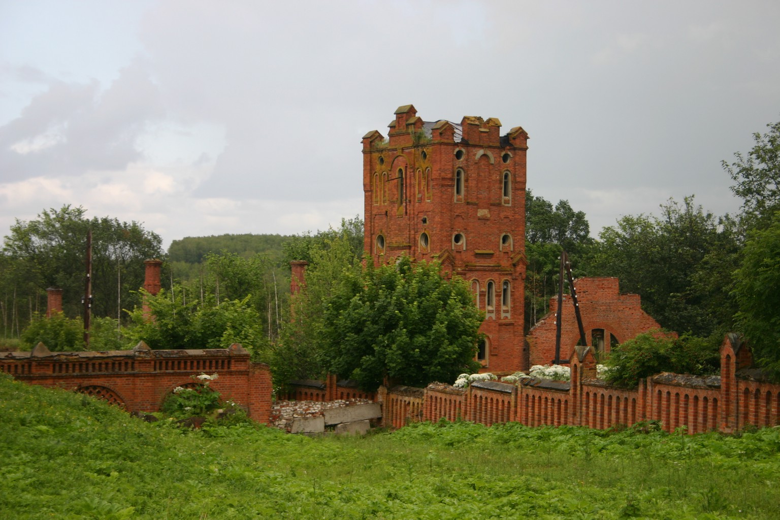 IMG_8421.JPG