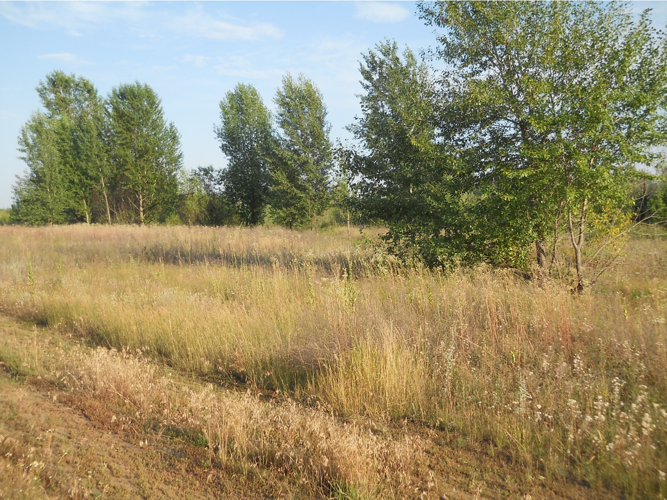 DSCN1611.JPG