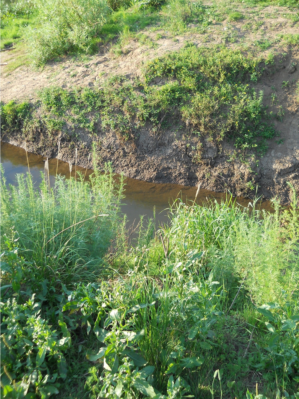 DSCN1614.JPG