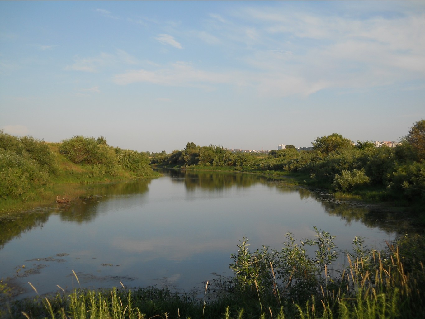 DSCN1617.JPG