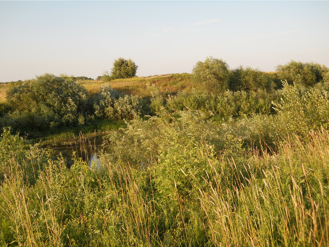 DSCN1620.JPG