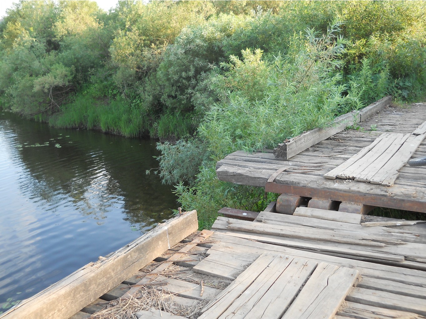 DSCN1625.JPG