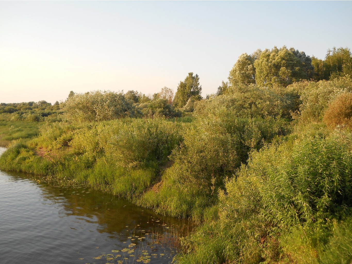 DSCN1627.JPG