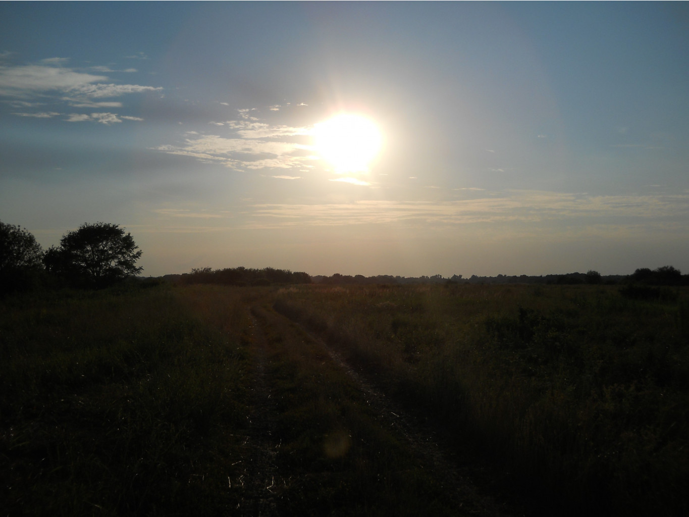 DSCN1634.JPG