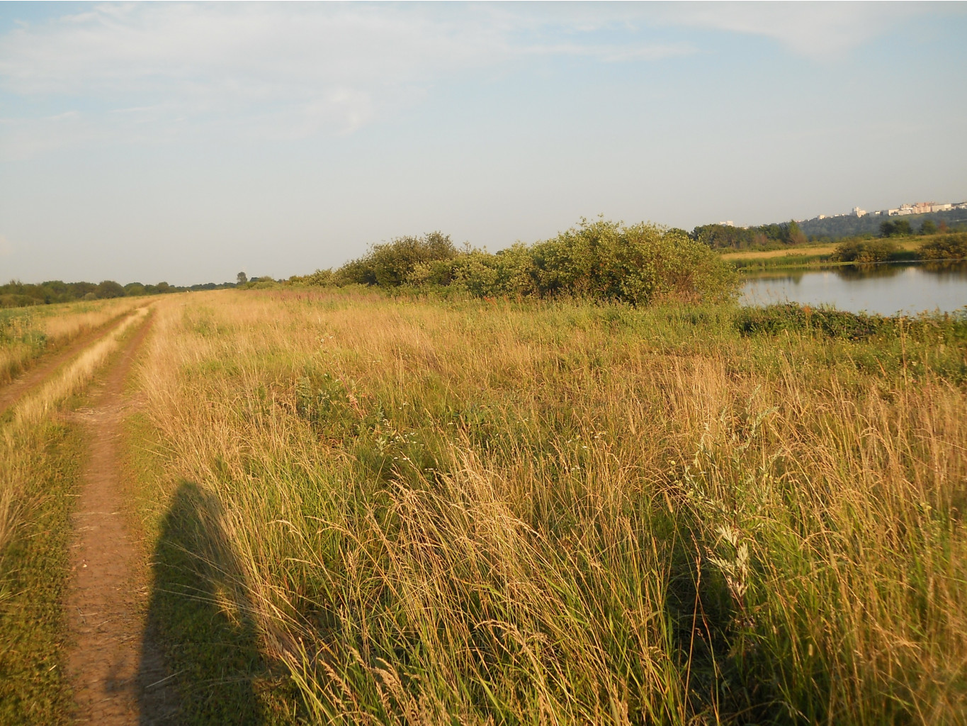 DSCN1635.JPG