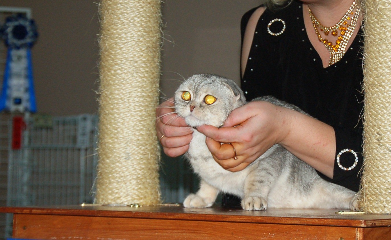 5815309.DSC_5389.JPG