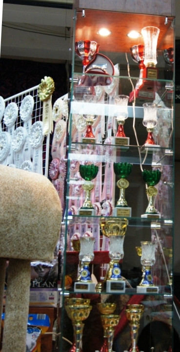 0_93435_63baea15_orig.jpg