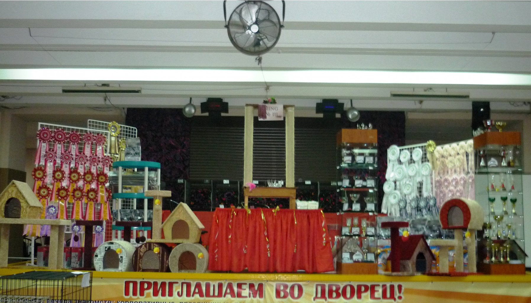 P1110425.JPG
