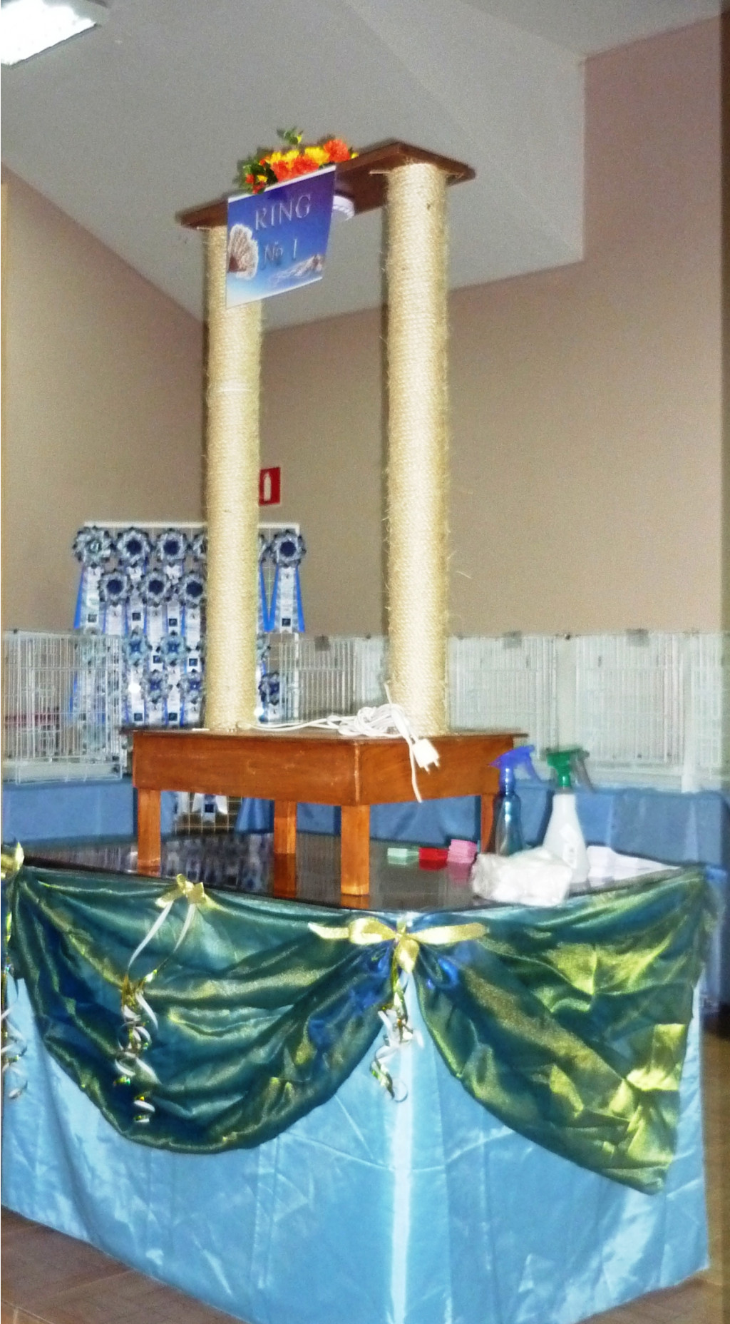 P1110433.JPG