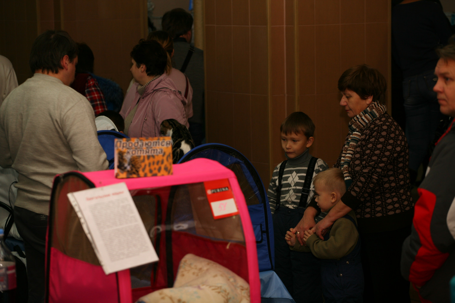 IMG_6833.JPG
