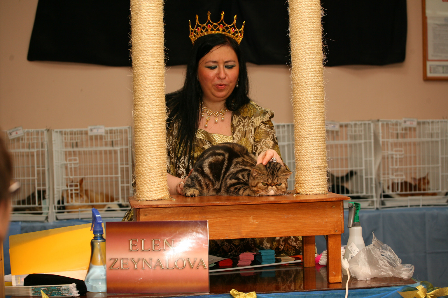 IMG_6842.JPG
