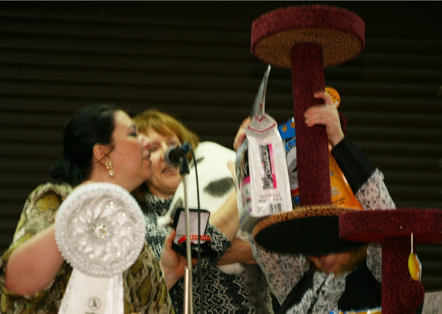 IMG_6870.JPG