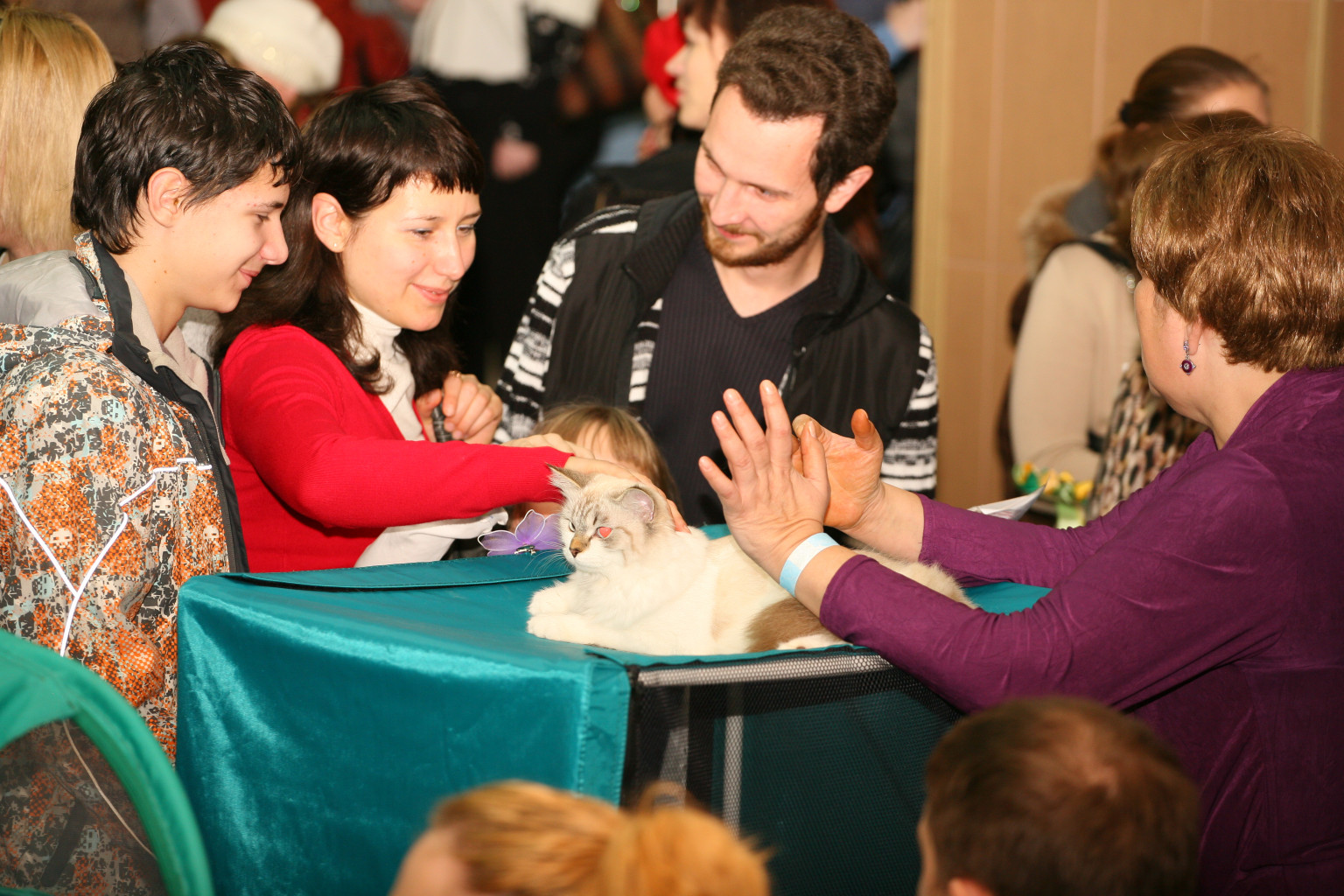 IMG_6890.JPG
