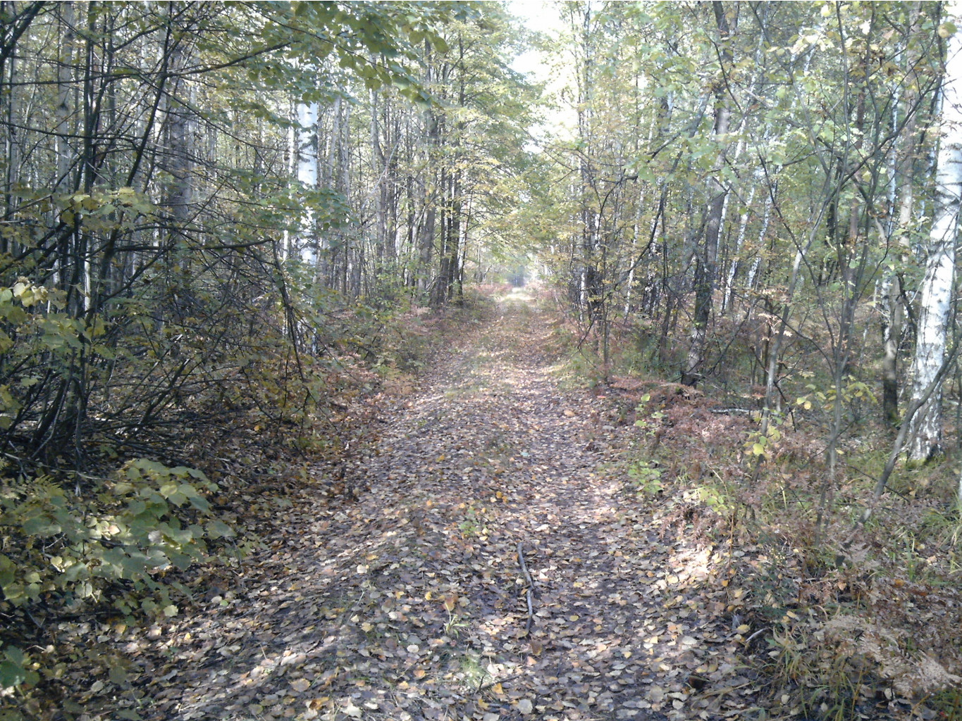 IMG_20110925_145634.jpg