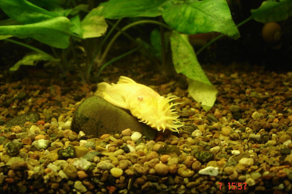25.01.2010 21:25:38