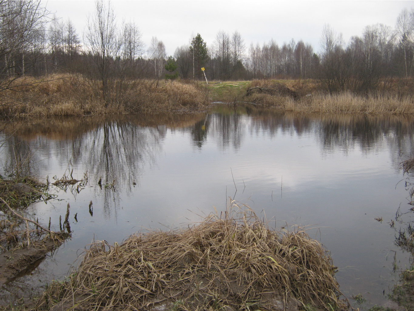 2012-11-24_12-14-06.jpg