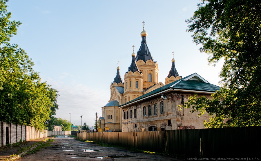 BUL_3282=.jpg