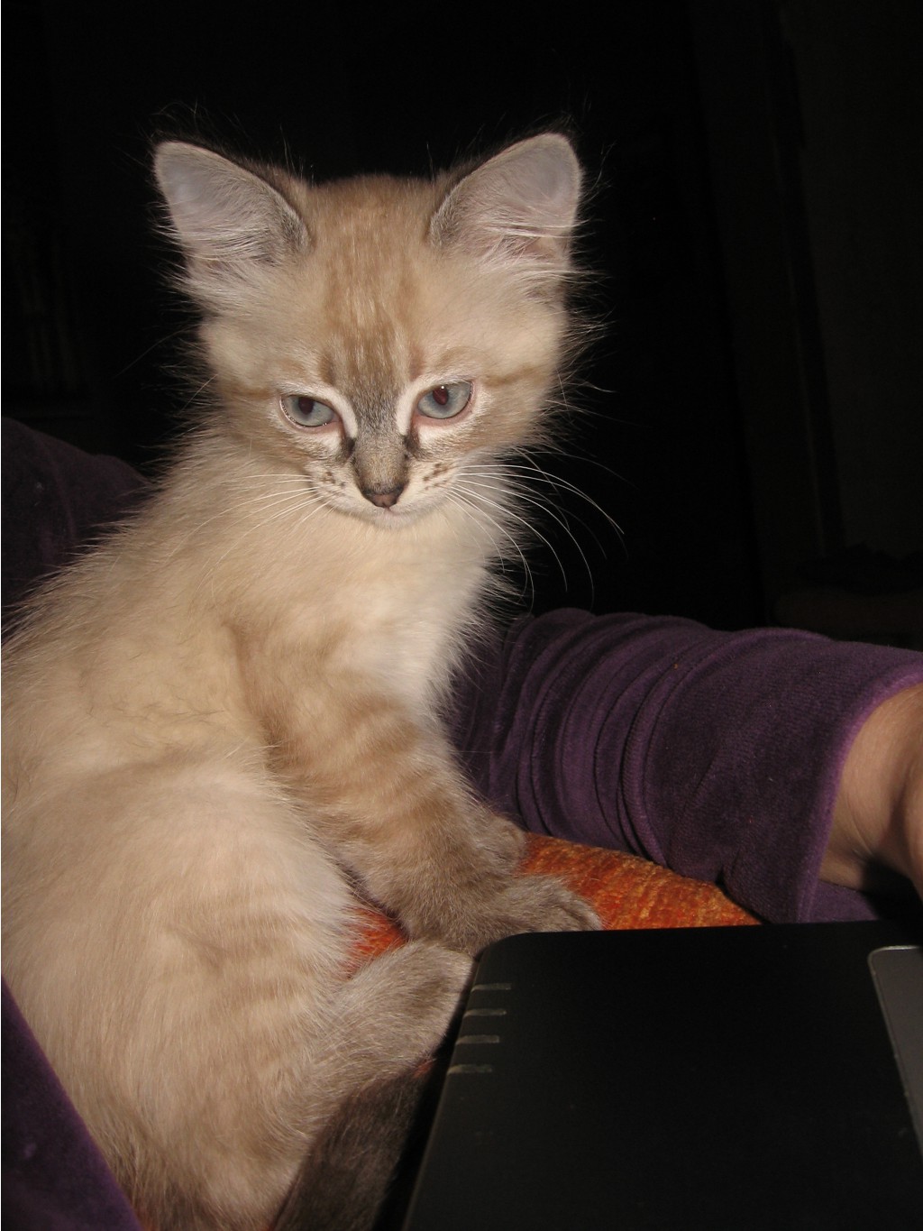 29.01.2010 16:54:59