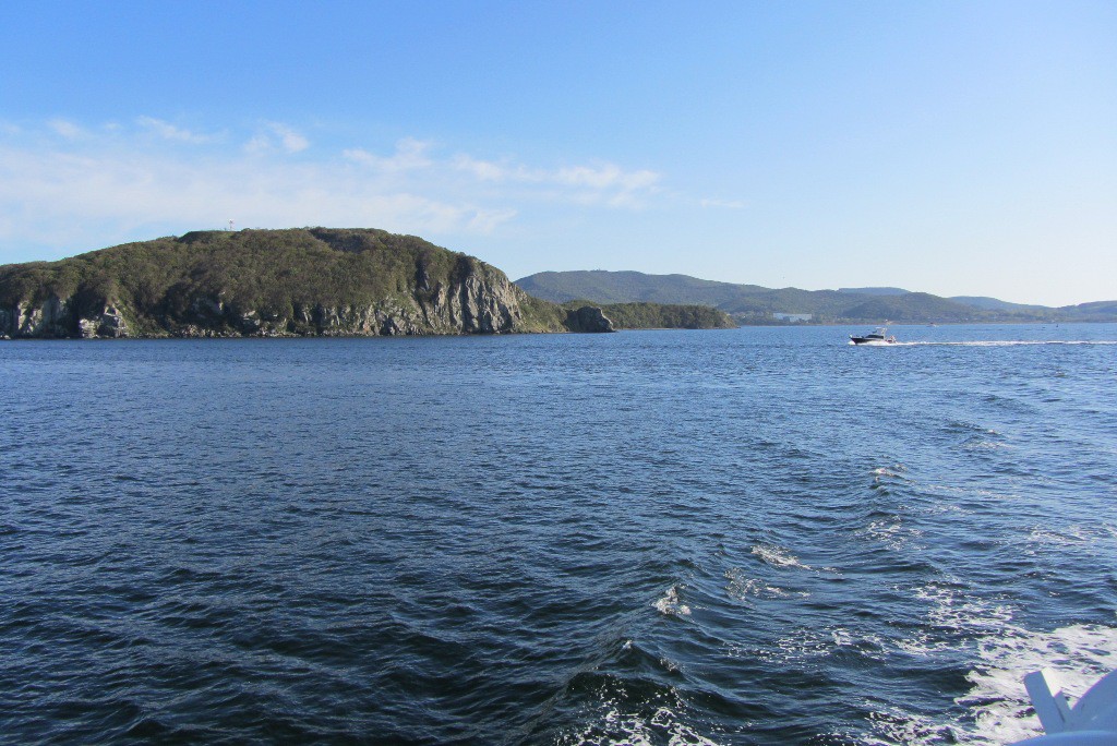 IMG_4049.jpg