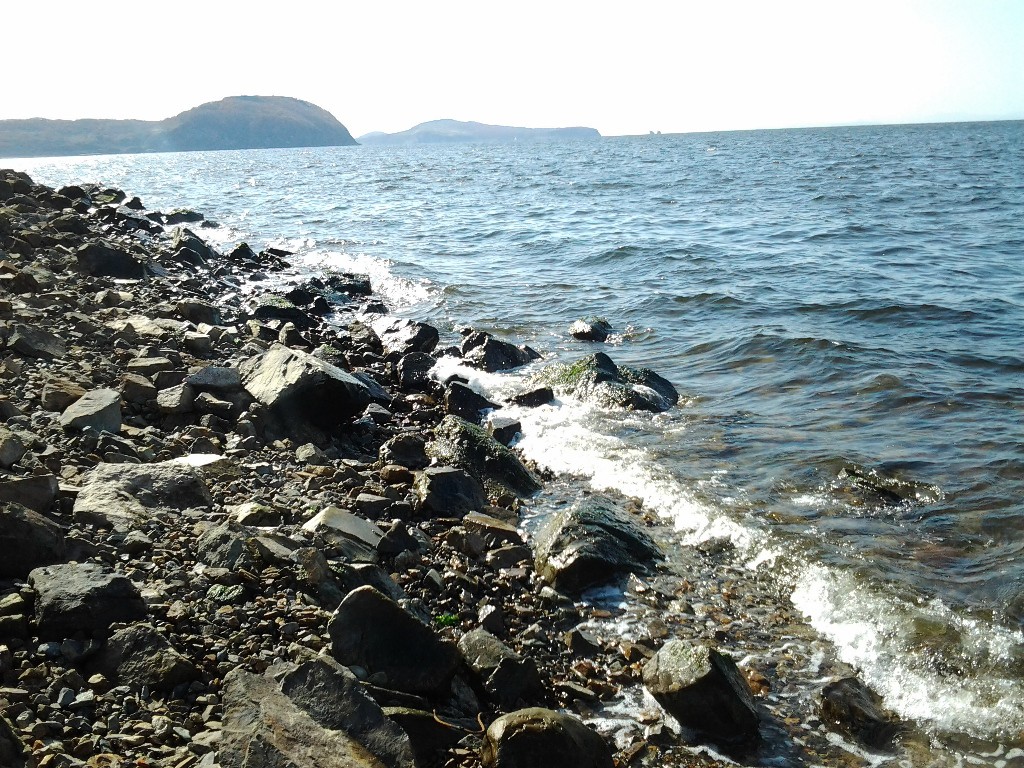 20121021_144158.jpg