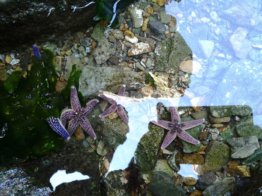 20121021_150759.jpg