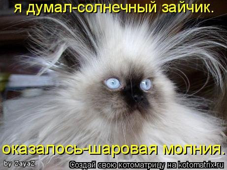 1893041.41e0e853b9c2.jpg