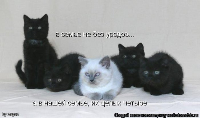 1893074.c8d1f78b698a.jpg