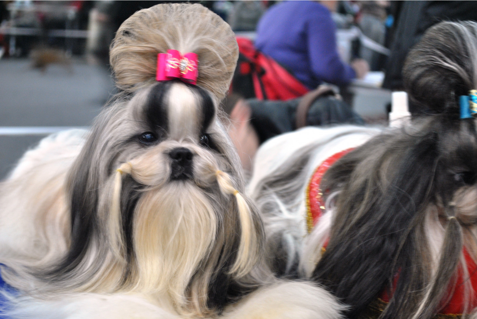DSC_0360.JPG